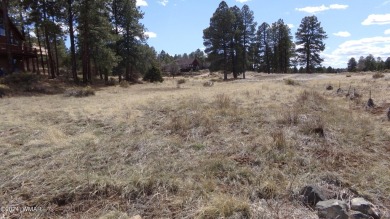 0.28ac lot in the beautiful mountains of Heber-Overgaard. With on Pine Meadows Country Club in Arizona - for sale on GolfHomes.com, golf home, golf lot