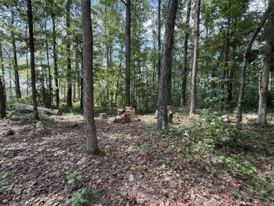Bring your home plans and take advantage of a great lot price! on Links At Lily Creek Resort in Kentucky - for sale on GolfHomes.com, golf home, golf lot