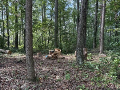 Bring your home plans and take advantage of a great lot price! on Links At Lily Creek Resort in Kentucky - for sale on GolfHomes.com, golf home, golf lot