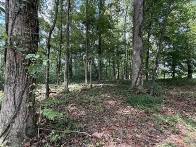 Bring your home plans and take advantage of a great lot price! on Links At Lily Creek Resort in Kentucky - for sale on GolfHomes.com, golf home, golf lot