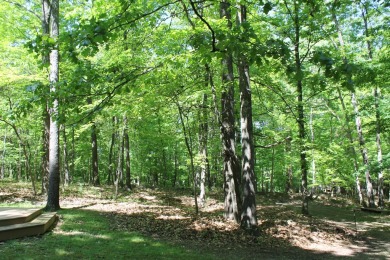 Check out this charming, cozy cabin w/ a fantastic corner lot on Hide-A-Way Hills Golf Club in Ohio - for sale on GolfHomes.com, golf home, golf lot