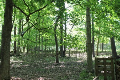 Check out this charming, cozy cabin w/ a fantastic corner lot on Hide-A-Way Hills Golf Club in Ohio - for sale on GolfHomes.com, golf home, golf lot