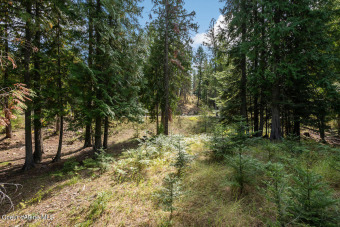 Great opportunity to purchase an estate home site in the coveted on The Idaho Club in Idaho - for sale on GolfHomes.com, golf home, golf lot