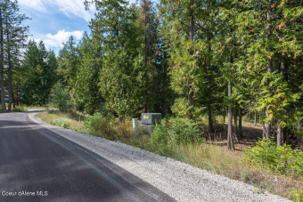 Great opportunity to purchase an estate home site in the coveted on The Idaho Club in Idaho - for sale on GolfHomes.com, golf home, golf lot