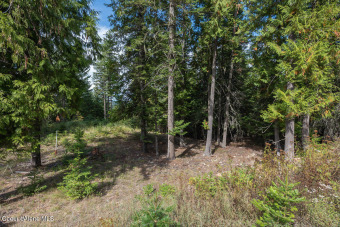Great opportunity to purchase an estate home site in the coveted on The Idaho Club in Idaho - for sale on GolfHomes.com, golf home, golf lot