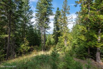 Great opportunity to purchase an estate home site in the coveted on The Idaho Club in Idaho - for sale on GolfHomes.com, golf home, golf lot