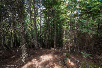 Great opportunity to purchase an estate home site in the coveted on The Idaho Club in Idaho - for sale on GolfHomes.com, golf home, golf lot