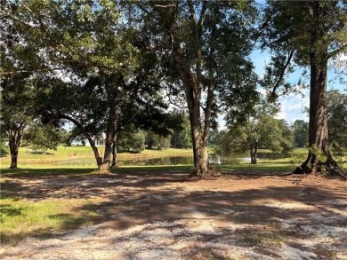 Build the home you've always envisioned within Money Hill's on Money Hill Golf and Country Club in Louisiana - for sale on GolfHomes.com, golf home, golf lot