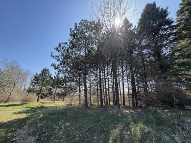 Welcome to 3787 Buzzell Rd. This beautifully updated 4-bedroom on Gladwin Heights Golf Course in Michigan - for sale on GolfHomes.com, golf home, golf lot