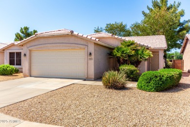Welcome to Springfield, a premier South Chandler Active Adult on Springfield Golf Resort in Arizona - for sale on GolfHomes.com, golf home, golf lot