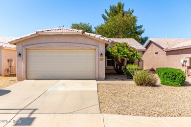 Welcome to Springfield, a premier South Chandler Active Adult on Springfield Golf Resort in Arizona - for sale on GolfHomes.com, golf home, golf lot