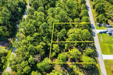 Vacant 0.25-acre residential lot with sought-after southern on River Hall Country Club in Florida - for sale on GolfHomes.com, golf home, golf lot