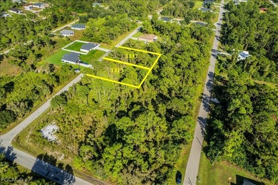 Vacant 0.25-acre residential lot with sought-after southern on River Hall Country Club in Florida - for sale on GolfHomes.com, golf home, golf lot