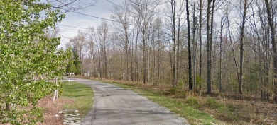 Level buildable lot in Lake Tansi located between Lake Mohawk on Lake Tansi Village Country Club in Tennessee - for sale on GolfHomes.com, golf home, golf lot