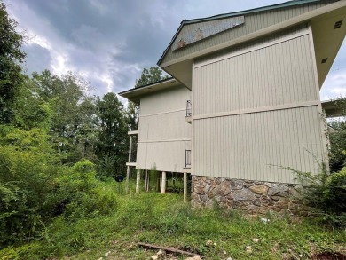 Investor's Dream in Alpine, Alabama! Don't miss this incredible on Alpine Bay Resort in Alabama - for sale on GolfHomes.com, golf home, golf lot