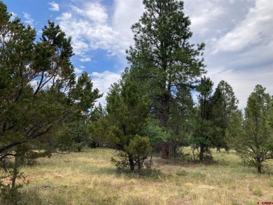 Todd R Schroedel, United Country Sneffels Realty, C: , todd,  : on The Divide Ranch and Club in Colorado - for sale on GolfHomes.com, golf home, golf lot