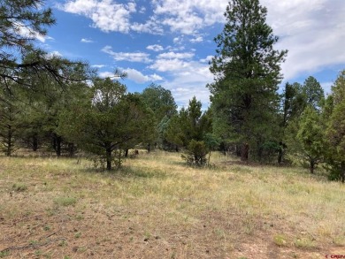 Todd R Schroedel, United Country Sneffels Realty, C: , todd,  : on The Divide Ranch and Club in Colorado - for sale on GolfHomes.com, golf home, golf lot