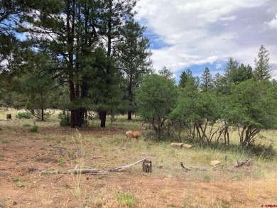 Todd R Schroedel, United Country Sneffels Realty, C: , todd,  : on The Divide Ranch and Club in Colorado - for sale on GolfHomes.com, golf home, golf lot