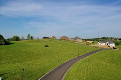 AWESOME VIEWS!!!! Sunrises and sunsets to die for! Beautiful on The Bull At Boones Trace in Kentucky - for sale on GolfHomes.com, golf home, golf lot