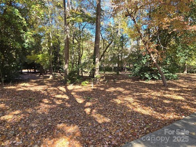 This golf course lot is located on the 10th fairway of the Old on Old North State Club at Uwharrie Point Golf community in North Carolina - for sale on GolfHomes.com, golf home, golf lot