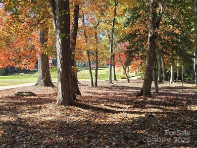 This golf course lot is located on the 10th fairway of the Old on Old North State Club at Uwharrie Point Golf community in North Carolina - for sale on GolfHomes.com, golf home, golf lot