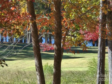 This golf course lot is located on the 10th fairway of the Old on Old North State Club at Uwharrie Point Golf community in North Carolina - for sale on GolfHomes.com, golf home, golf lot