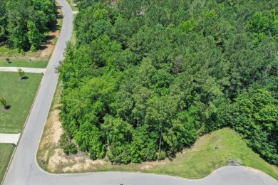 Lot P-38 in Mt. Vintage is located on the corner of Eutaw on Mount Vintage Plantation and Golf Club  in South Carolina - for sale on GolfHomes.com, golf home, golf lot