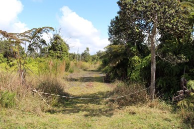 3 adjacent parcels in Ohia Estates giving you almost an acre of on Volcano Golf and Country Club in Hawaii - for sale on GolfHomes.com, golf home, golf lot