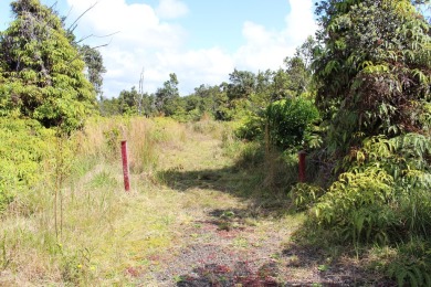 3 adjacent parcels in Ohia Estates giving you almost an acre of on Volcano Golf and Country Club in Hawaii - for sale on GolfHomes.com, golf home, golf lot