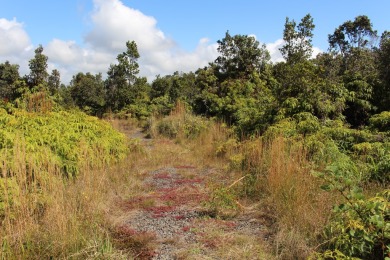 3 adjacent parcels in Ohia Estates giving you almost an acre of on Volcano Golf and Country Club in Hawaii - for sale on GolfHomes.com, golf home, golf lot