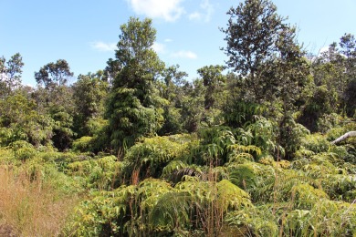 3 adjacent parcels in Ohia Estates giving you almost an acre of on Volcano Golf and Country Club in Hawaii - for sale on GolfHomes.com, golf home, golf lot