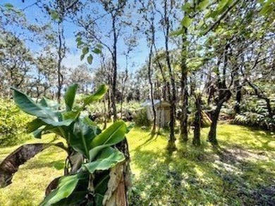 Situated outside the charming Volcano Village in the desirable on Volcano Golf and Country Club in Hawaii - for sale on GolfHomes.com, golf home, golf lot