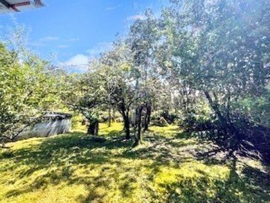Situated outside the charming Volcano Village in the desirable on Volcano Golf and Country Club in Hawaii - for sale on GolfHomes.com, golf home, golf lot