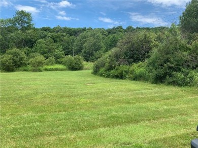 Charming Cape Style Home in Harpersfield, NY ..  Conveniently on Stamford Golf Club in New York - for sale on GolfHomes.com, golf home, golf lot