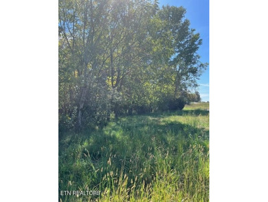 Beautiful level lot located right on the golf course in the on Tellico Village -The Links At Kahite Golf Course in Tennessee - for sale on GolfHomes.com, golf home, golf lot