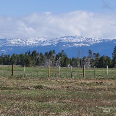 Spectacular view lot! Perfect location, situated between on Osprey Meadows at Tamarack Resort in Idaho - for sale on GolfHomes.com, golf home, golf lot