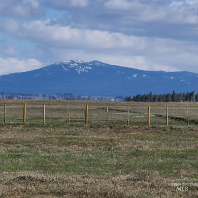 Spectacular view lot! Perfect location, situated between on Osprey Meadows at Tamarack Resort in Idaho - for sale on GolfHomes.com, golf home, golf lot