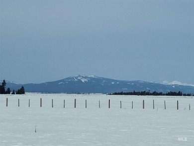 Spectacular view lot! Perfect location, situated between on Osprey Meadows at Tamarack Resort in Idaho - for sale on GolfHomes.com, golf home, golf lot