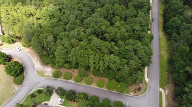 Create Your Dream Home in The Reserve at Woodside. Discover the on The Reserve Club At Woodside Plantation in South Carolina - for sale on GolfHomes.com, golf home, golf lot