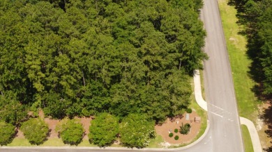 Create Your Dream Home in The Reserve at Woodside. Discover the on The Reserve Club At Woodside Plantation in South Carolina - for sale on GolfHomes.com, golf home, golf lot