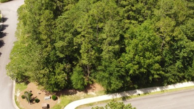 Create Your Dream Home in The Reserve at Woodside. Discover the on The Reserve Club At Woodside Plantation in South Carolina - for sale on GolfHomes.com, golf home, golf lot
