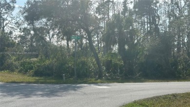 I've got an amazing opportunity for you! Imagine living in a on Sabal Trace Golf and Country Club in Florida - for sale on GolfHomes.com, golf home, golf lot