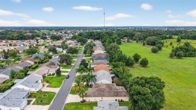 LOOKING FOR PRIVACY? WELL...HERE IT IS, IN THE VILLAGES FL! 
 on The Links of Spruce Creek in Florida - for sale on GolfHomes.com, golf home, golf lot