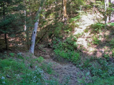 This private homesite is adjacent to hiking trails and a on The Lodge at Greenbrier Sporting Club in West Virginia - for sale on GolfHomes.com, golf home, golf lot