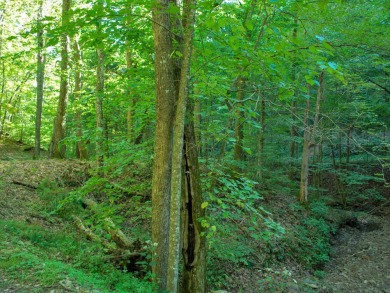 This private homesite is adjacent to hiking trails and a on The Lodge at Greenbrier Sporting Club in West Virginia - for sale on GolfHomes.com, golf home, golf lot