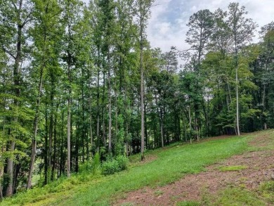 ESTATE OR COMPOUMD READY! 9.64 ACRES GATED PRIVACY OVERLOOKING on Old Union Golf Course in Georgia - for sale on GolfHomes.com, golf home, golf lot