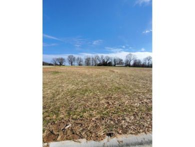 s: Golf course and Lake views AVAILABLE to purchase! Finally!! A on Highland Springs Country Club in Missouri - for sale on GolfHomes.com, golf home, golf lot