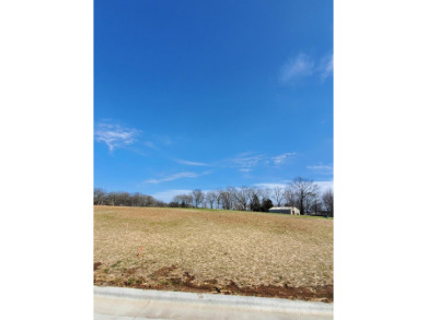 s: Golf course and Lake views AVAILABLE to purchase! Finally!! A on Highland Springs Country Club in Missouri - for sale on GolfHomes.com, golf home, golf lot