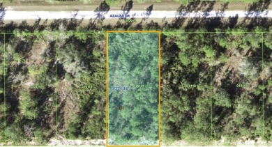 This is a fantastic opportunity to build your dream home in the on Indian Lake Estates Golf and Country Club in Florida - for sale on GolfHomes.com, golf home, golf lot