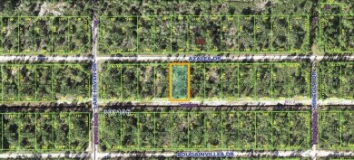 This is a fantastic opportunity to build your dream home in the on Indian Lake Estates Golf and Country Club in Florida - for sale on GolfHomes.com, golf home, golf lot